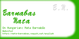 barnabas mata business card